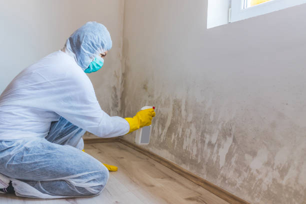 Crawl Space Mold Remediation treatment of floor joists in Laporte