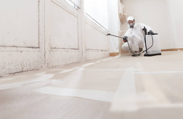 Black mold remediation team in Laporte